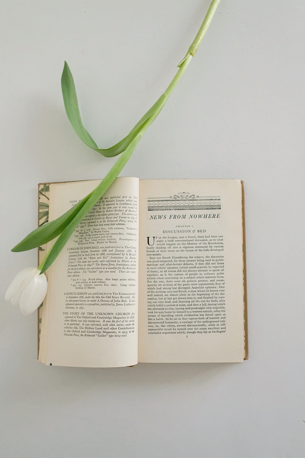 “William Morris” (1st edition)
