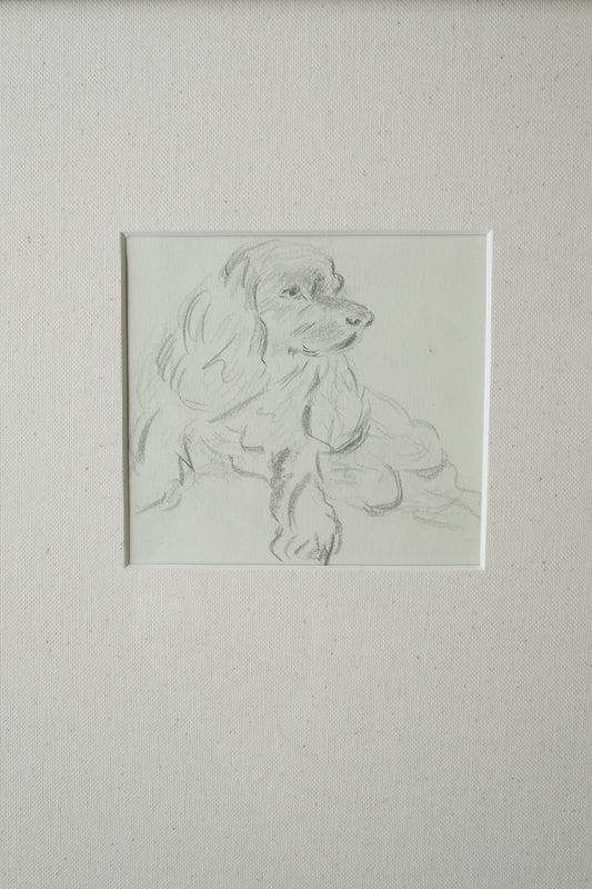 dog sketch no. 1