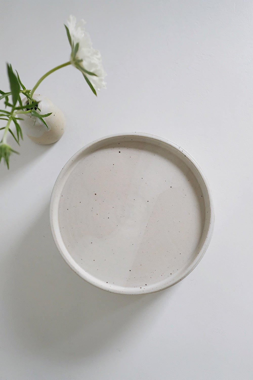 salad plate