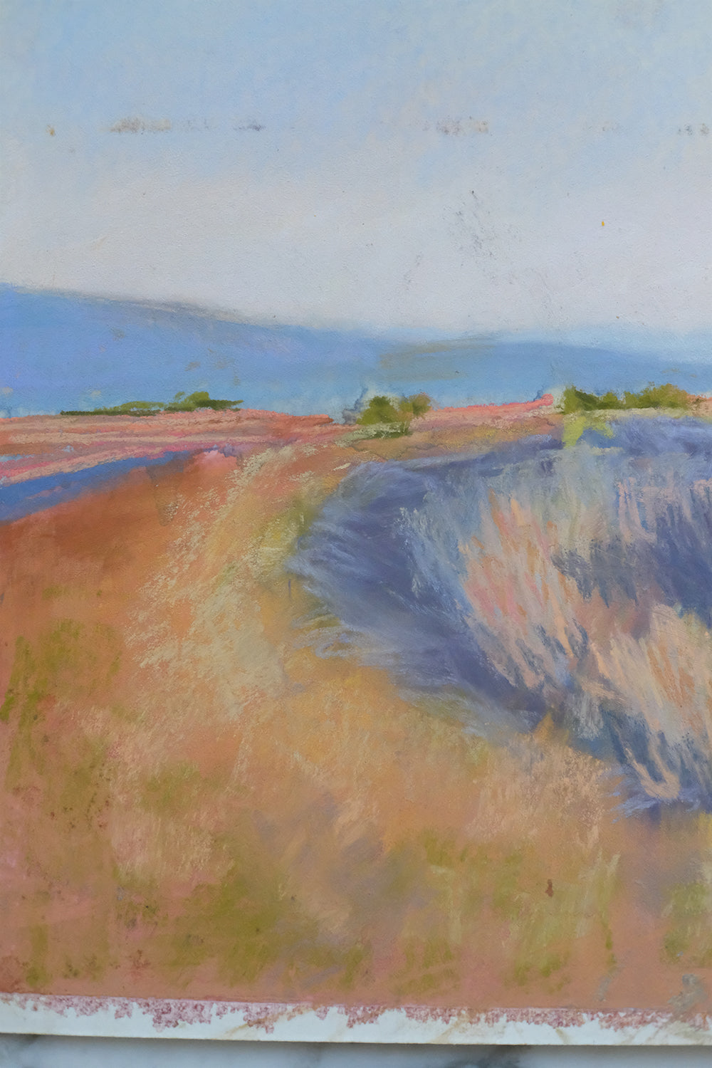 "sauvie"