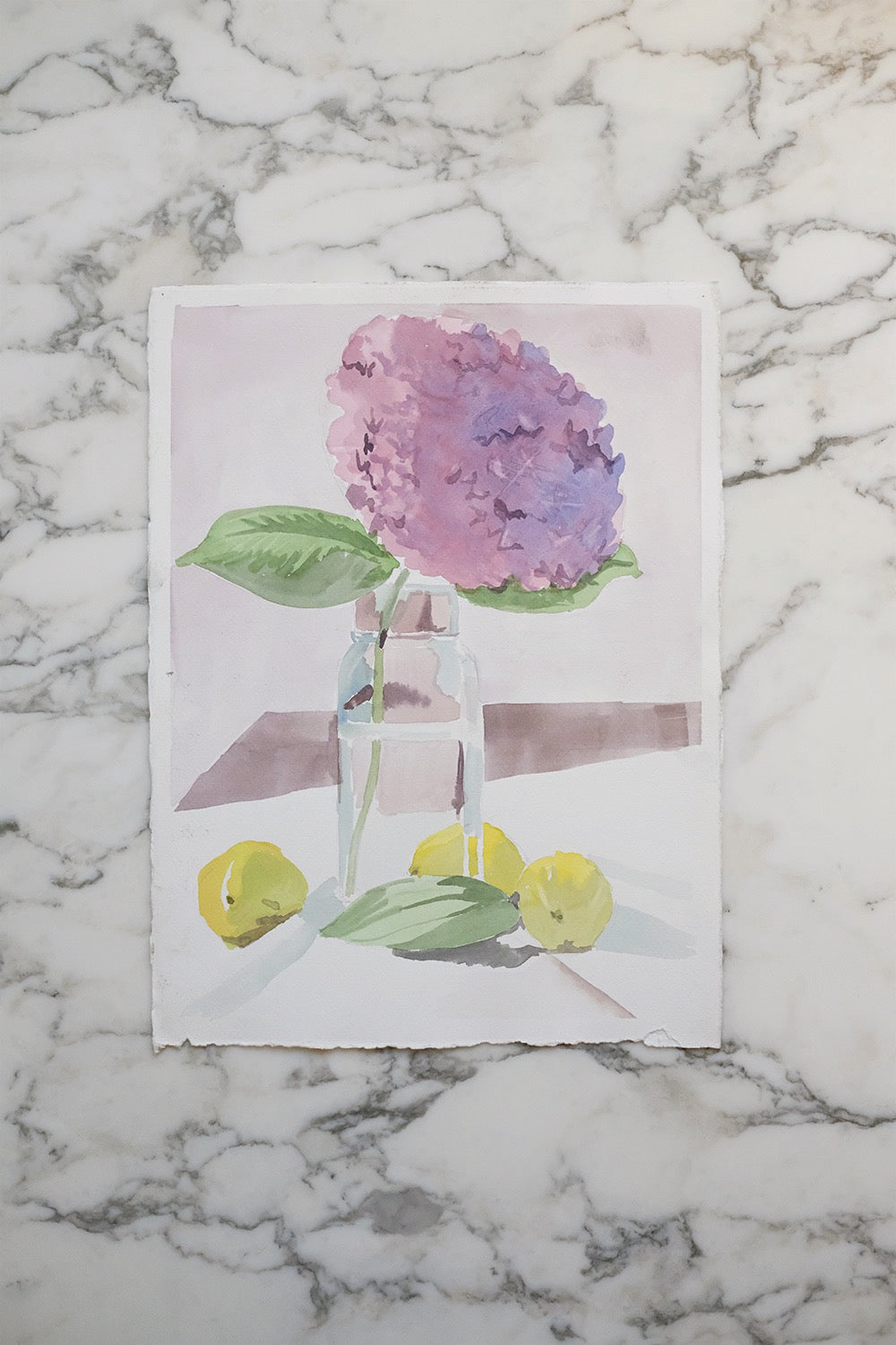"still life"
