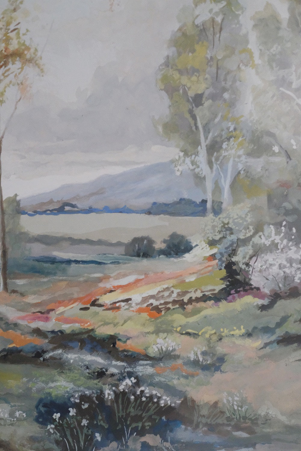 "meadow"