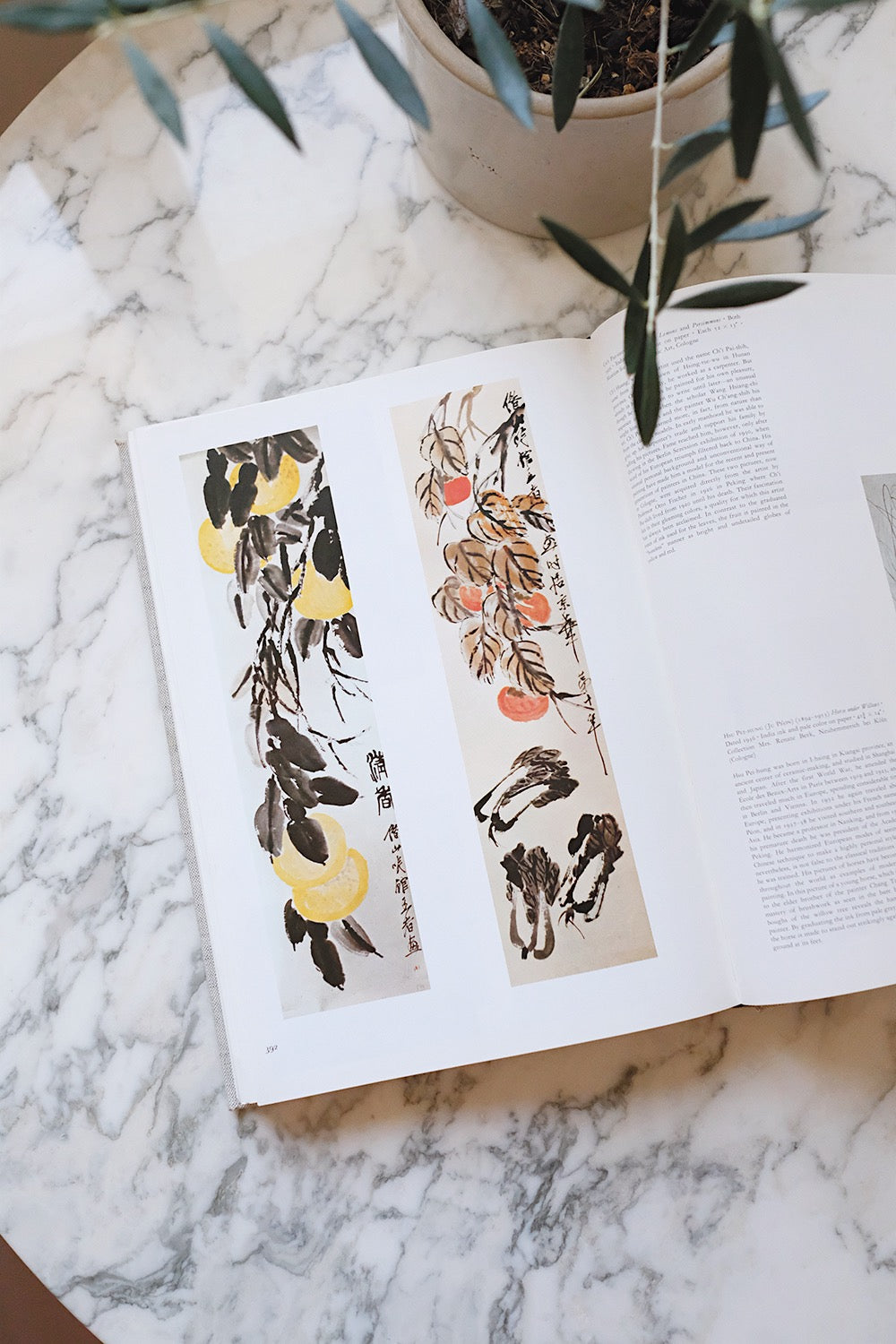 "20,000 years of world painting" book