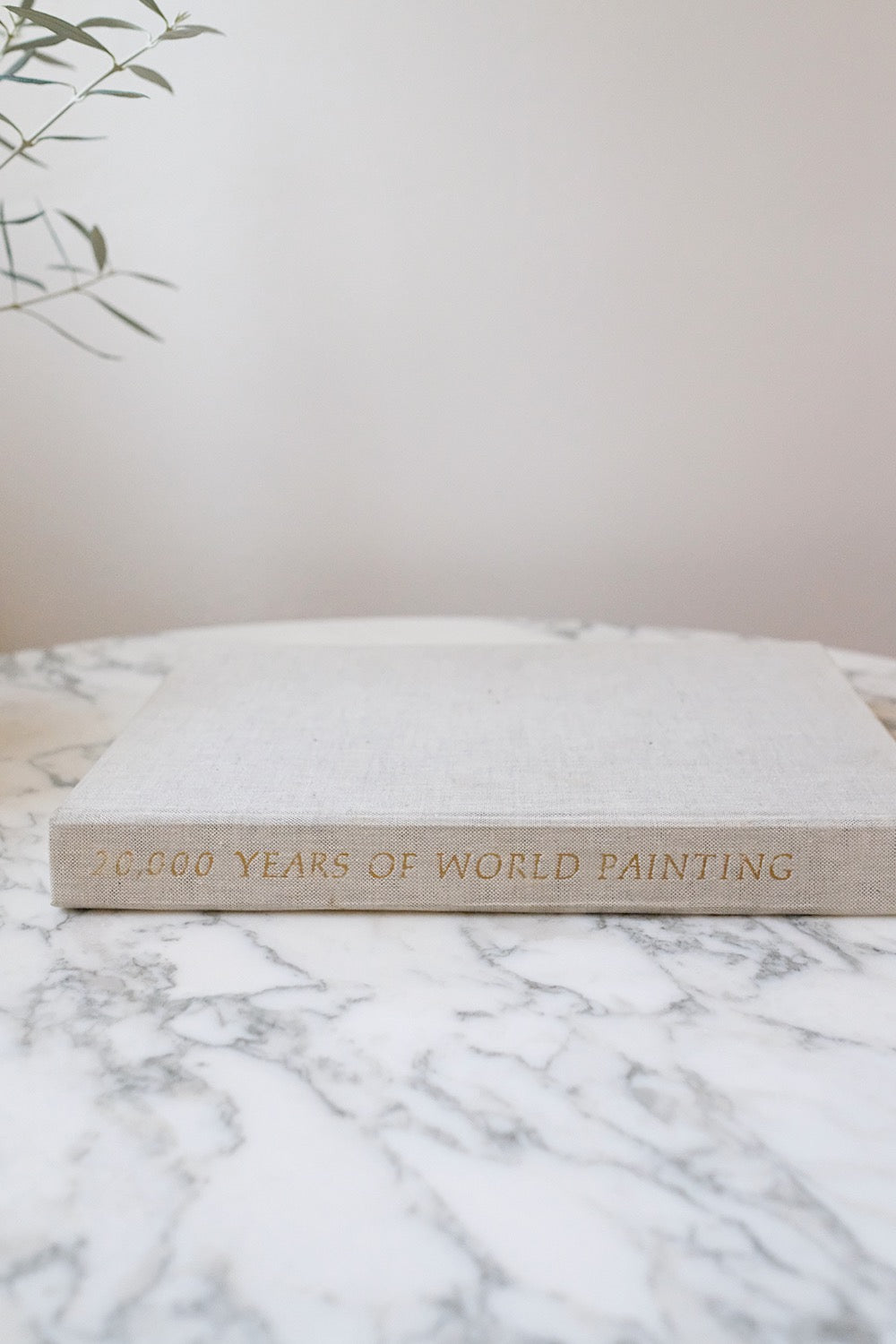 "20,000 years of world painting" book