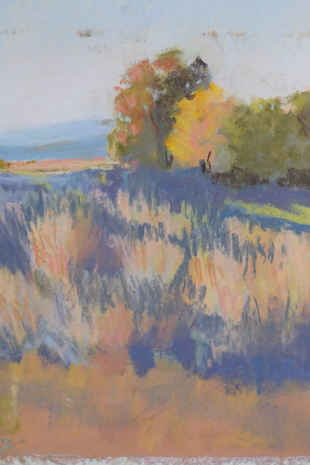 "sauvie"