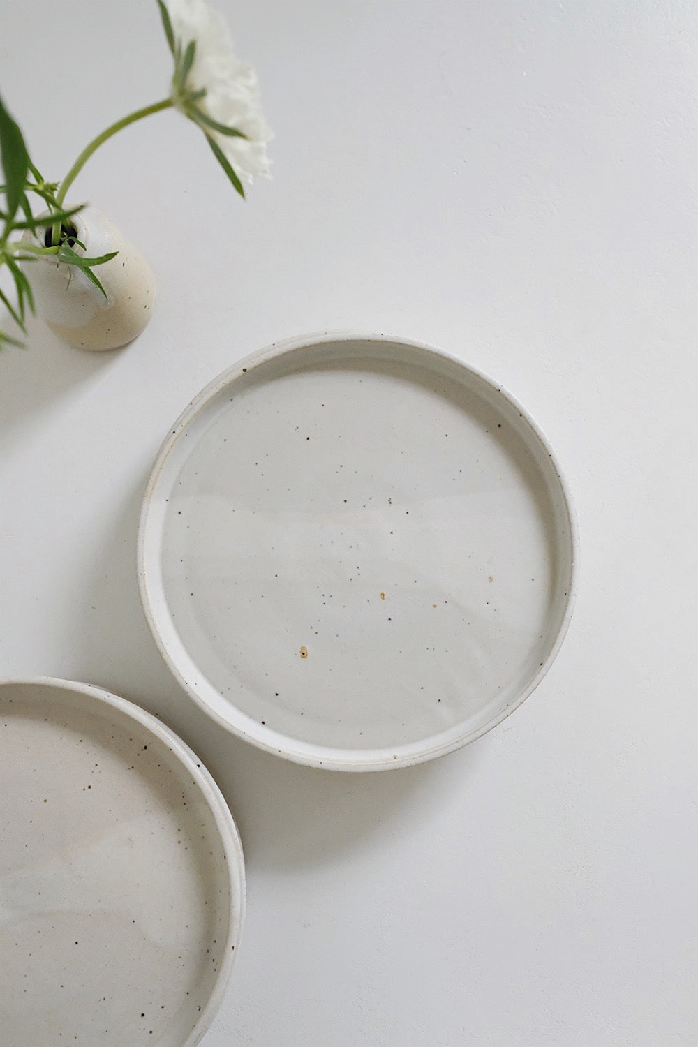 salad plate