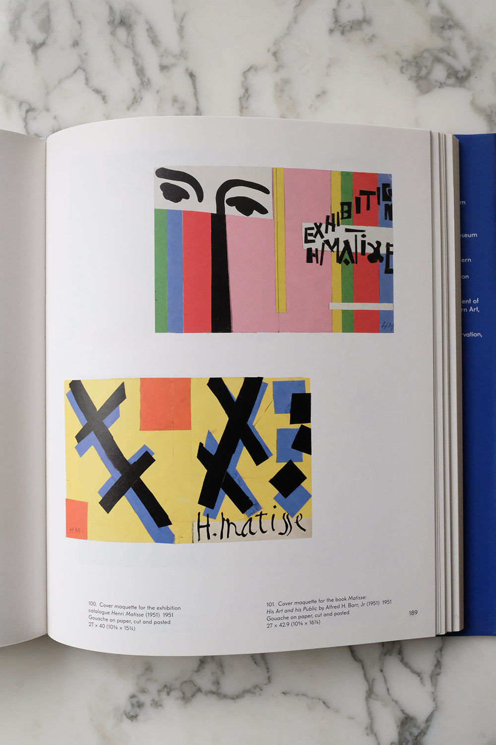"Henri Matisse - The Cut Outs"