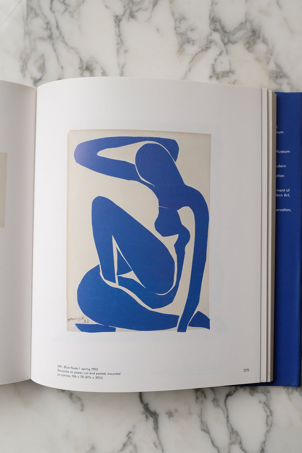 "Henri Matisse - The Cut Outs"