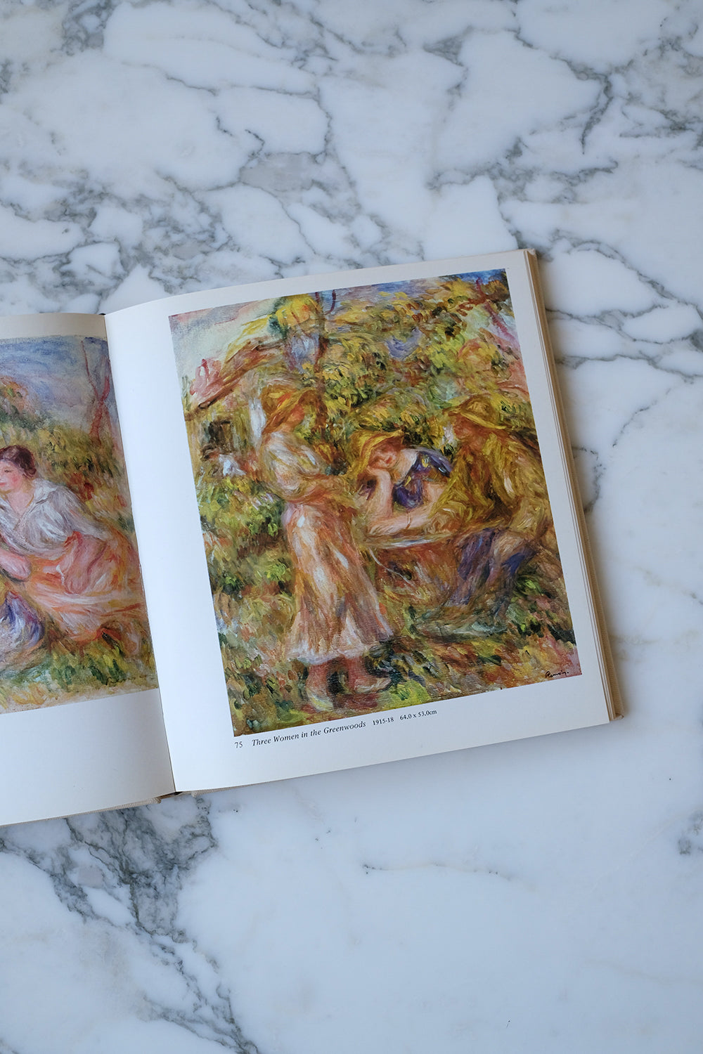 "Renoir" book