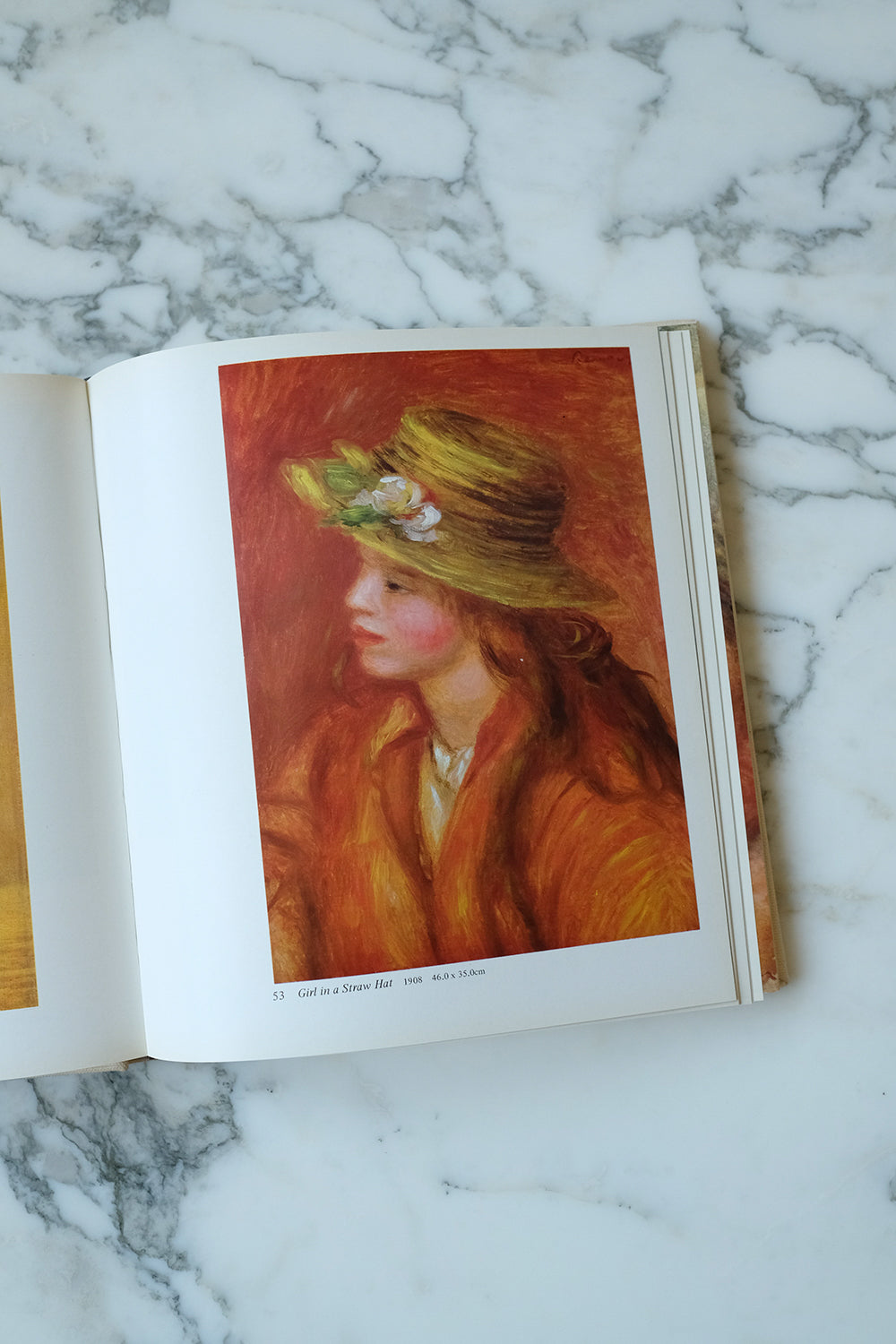 "Renoir" book