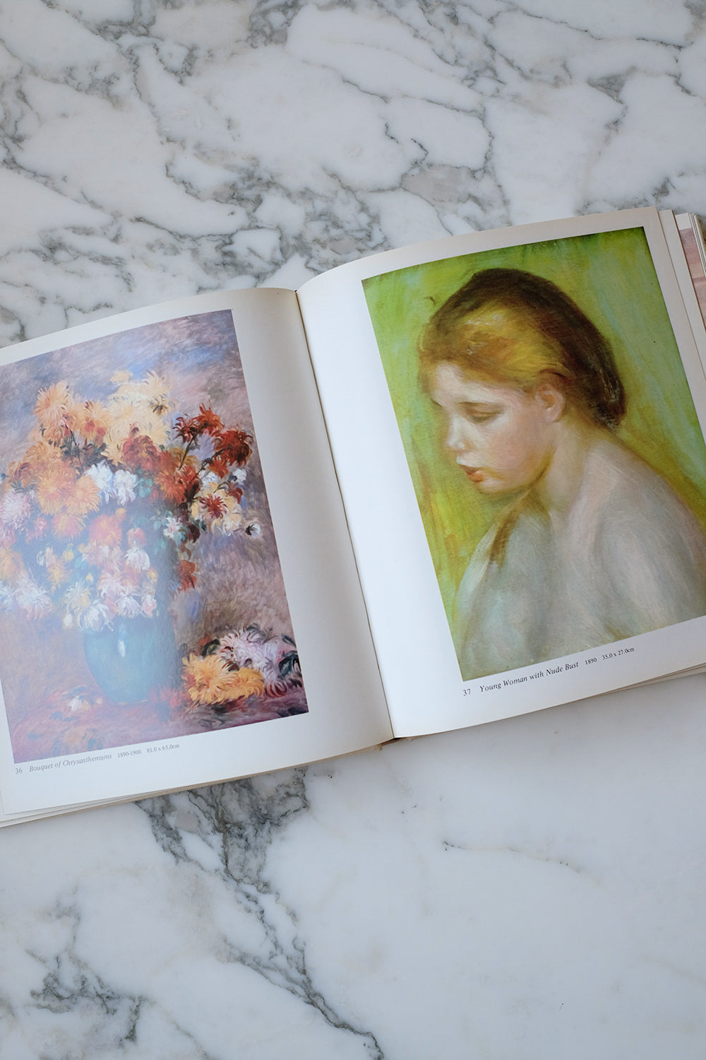 "Renoir" book