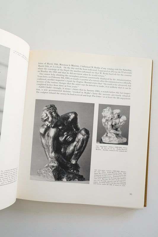 "Rodin" book