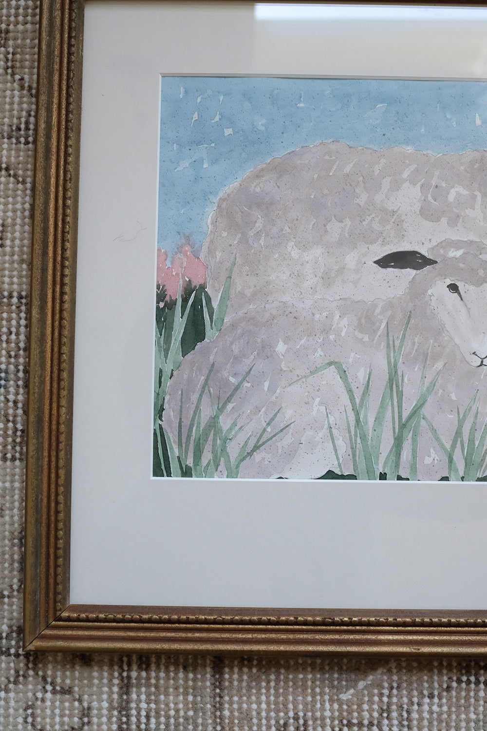 "flock"