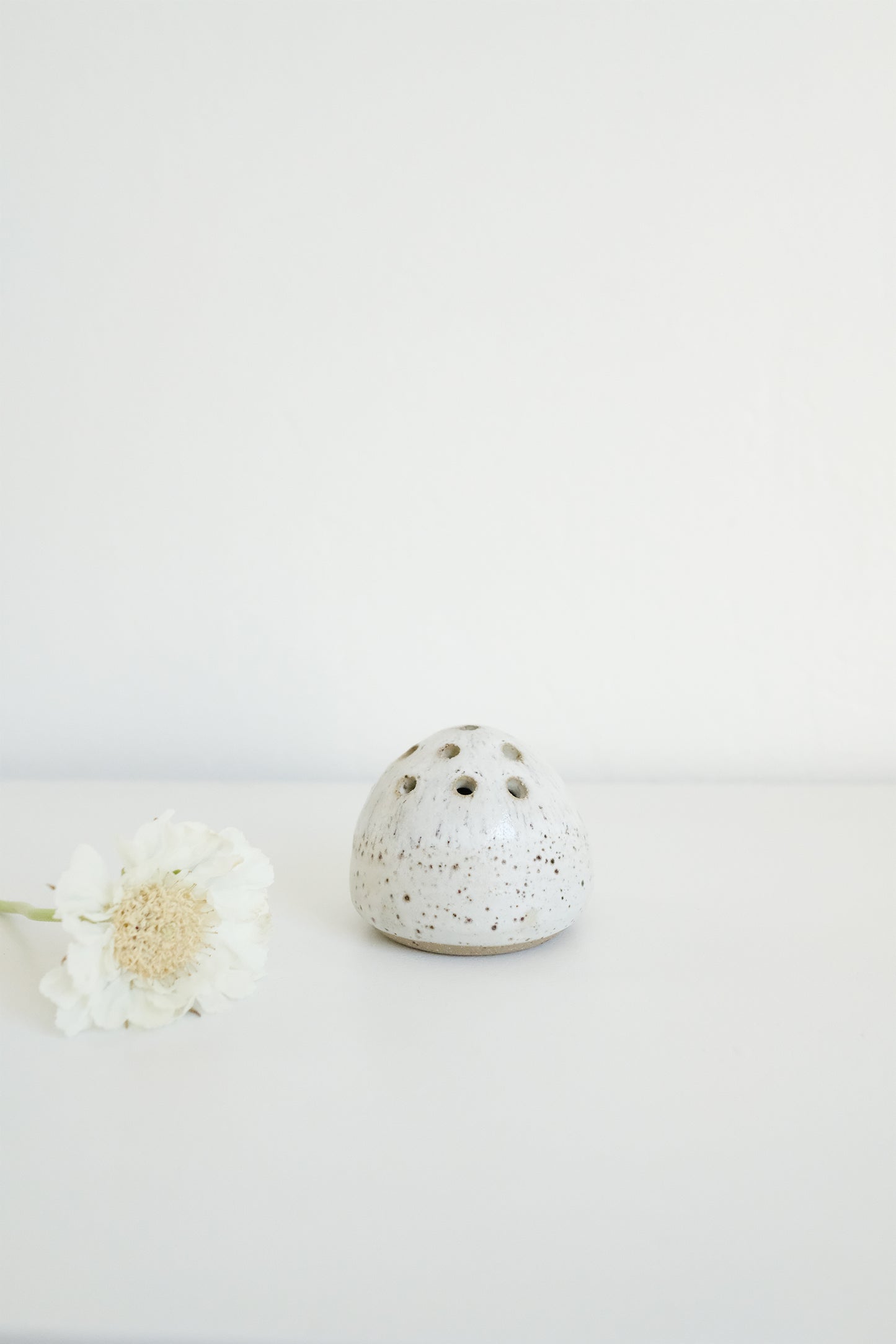 flower frog