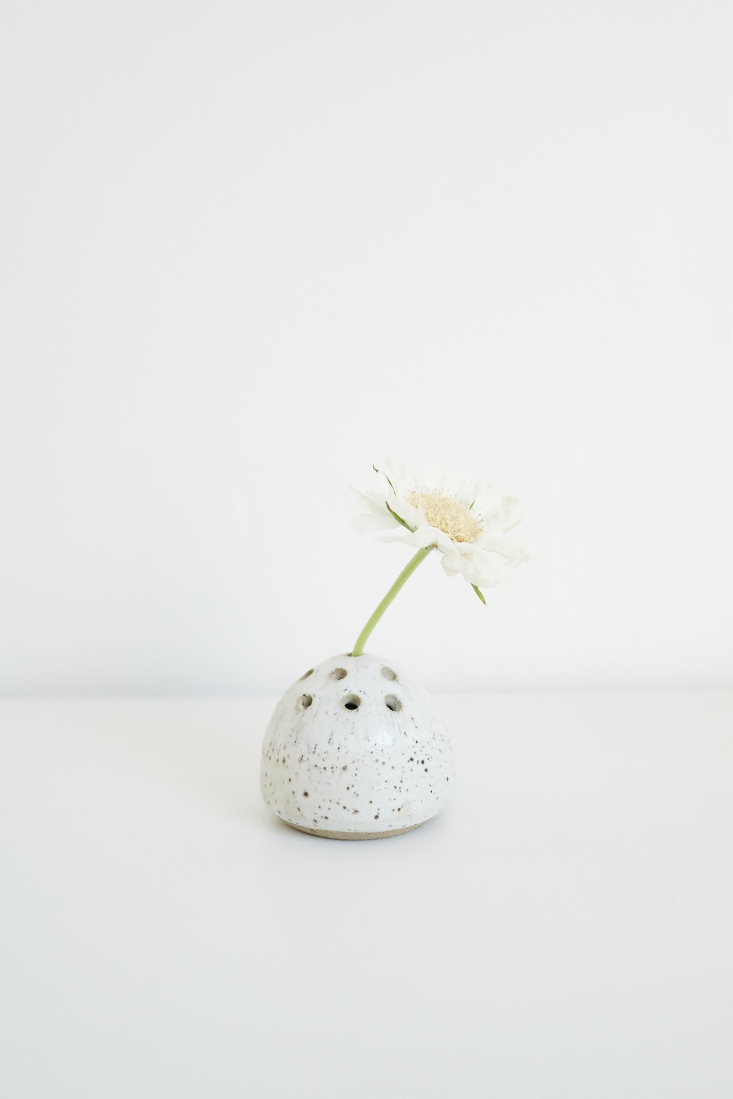 flower frog