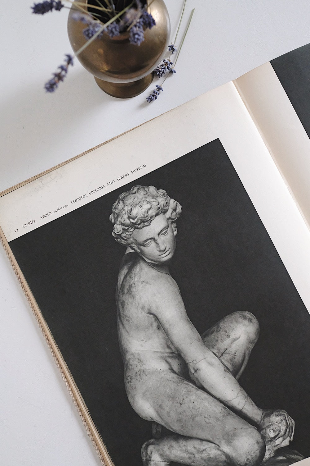 "the sculptures of Michaelangelo" book