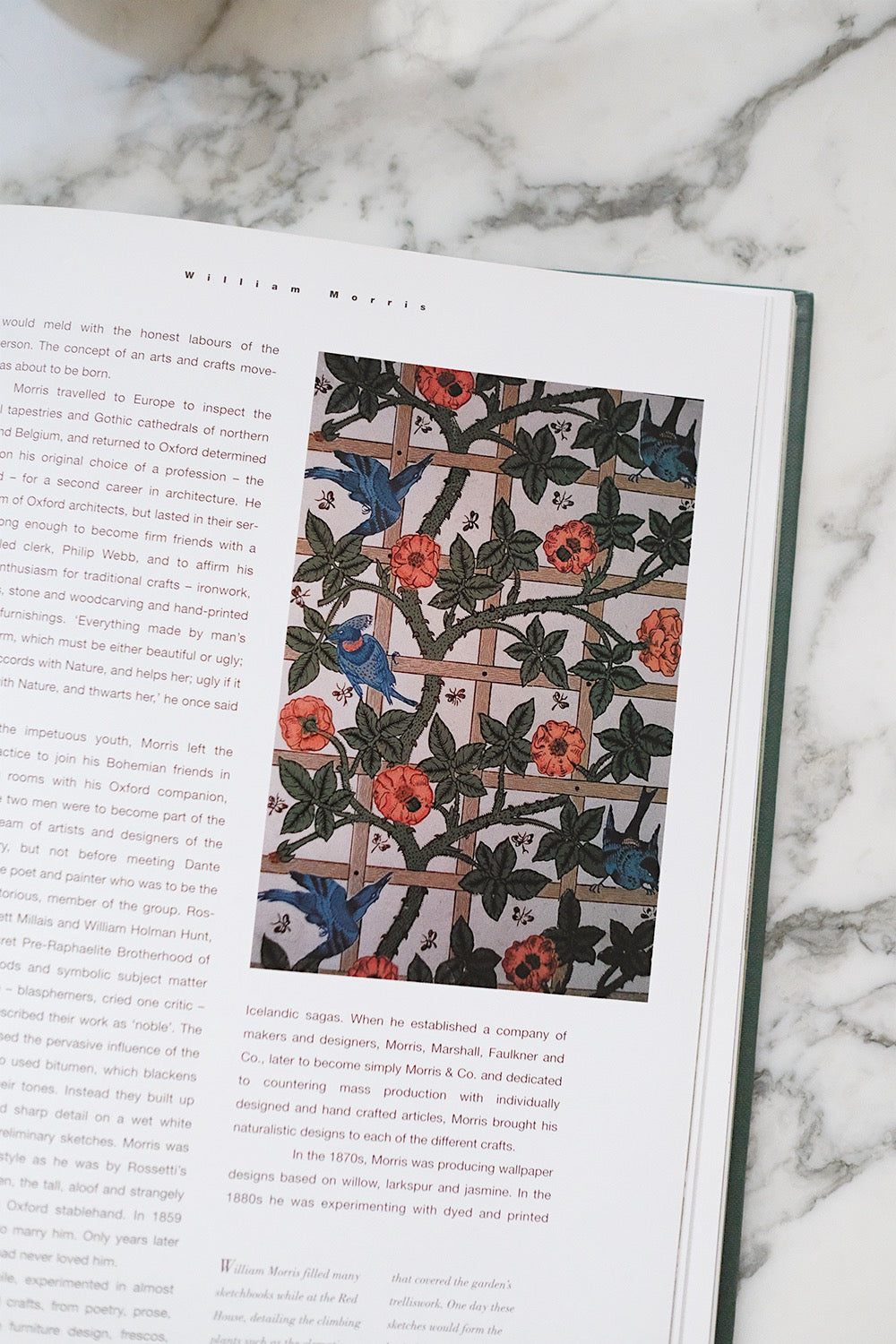 artists' gardens book