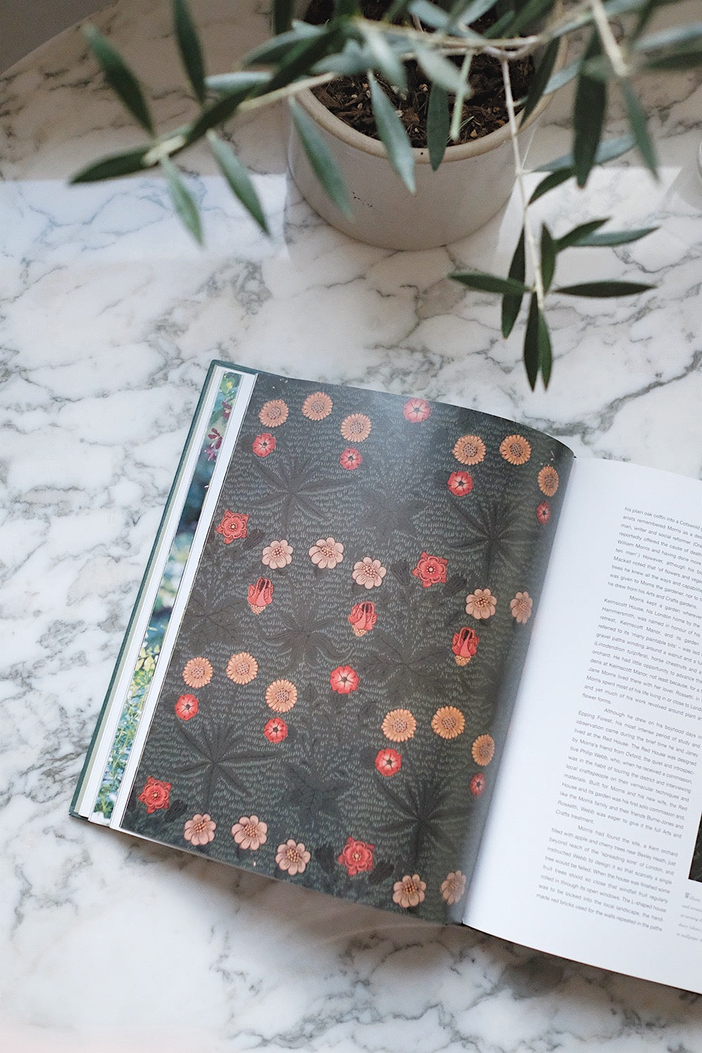 artists' gardens book