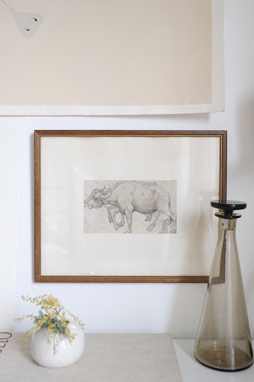 "a yoke of two water buffalo"