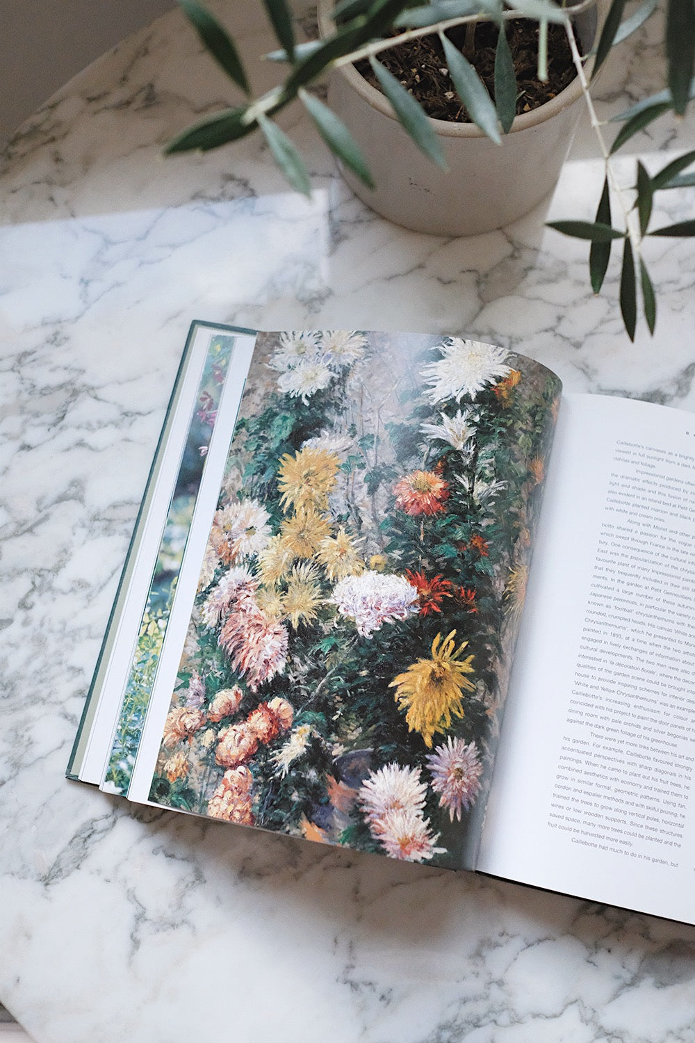 artists' gardens book