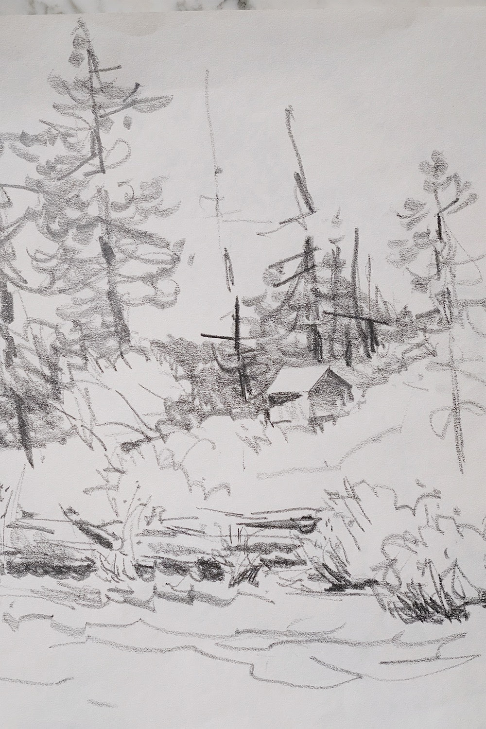 landscape drawing by Doug Lynch