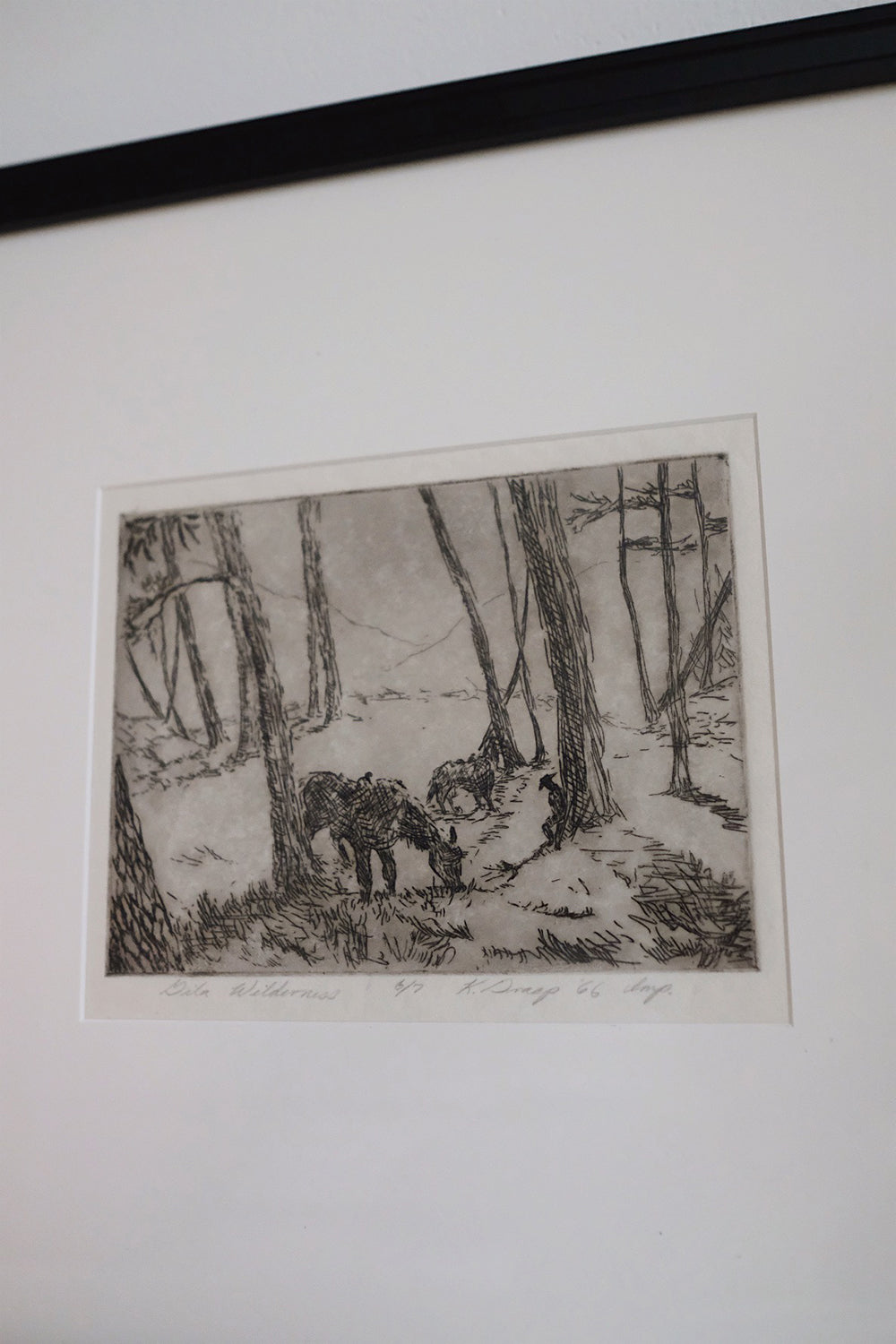 "gila wilderness" framed original etching
