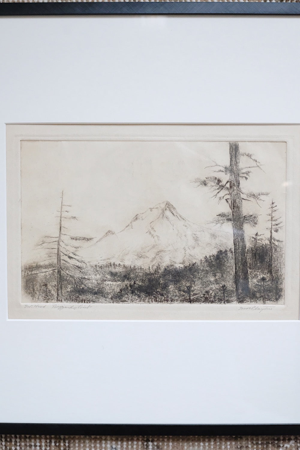 "mount hood"