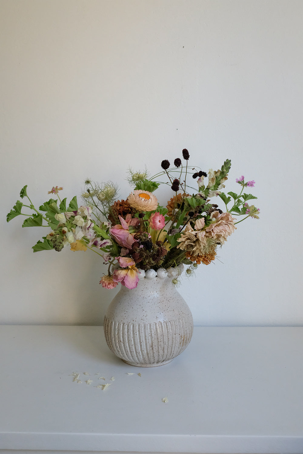 bolita vase