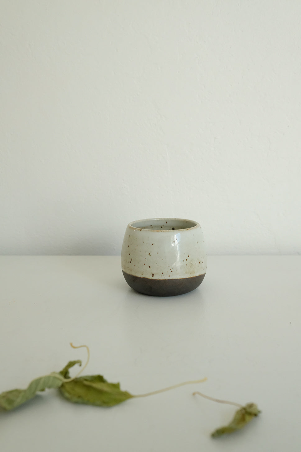 ceramic pot