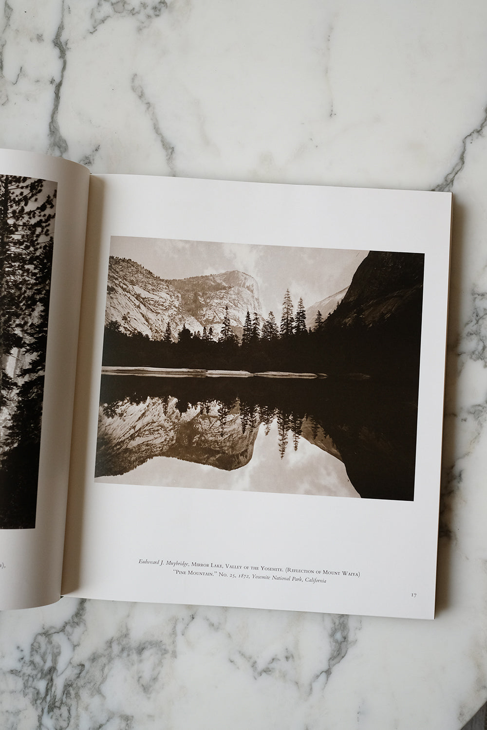 "American photographers & the national parks" book