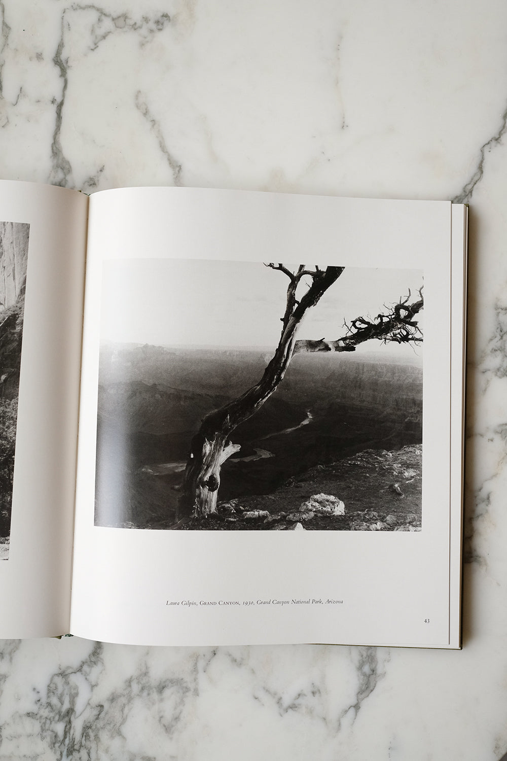 "American photographers & the national parks" book