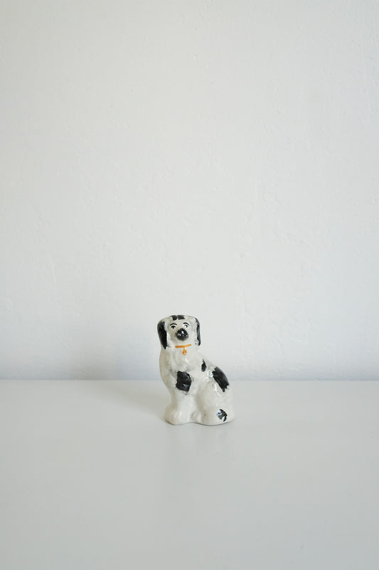 HFG x Jess Astrella miniature Staffordshire dog