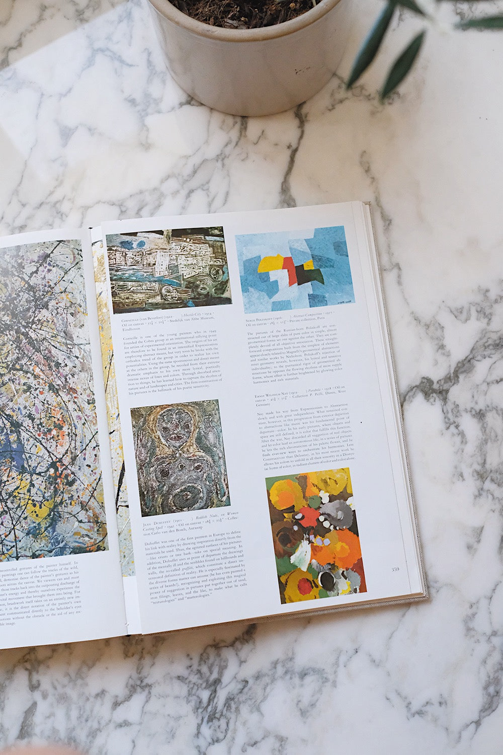 "20,000 years of world painting" book