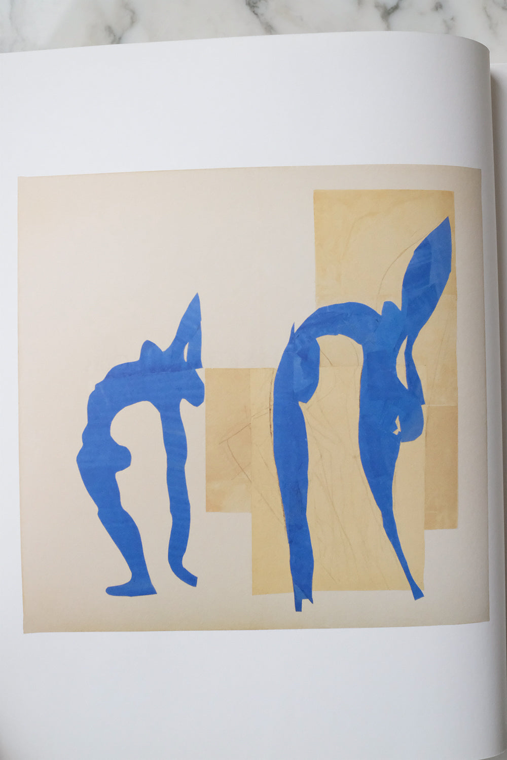 "Henri Matisse - The Cut Outs"