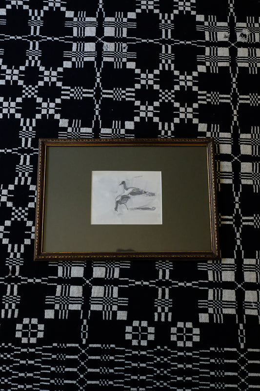 "seabirds"