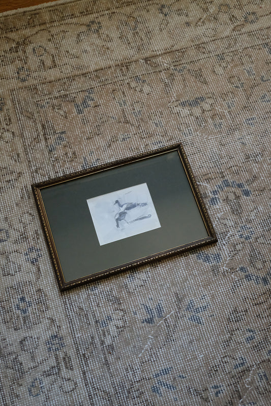 "seabirds"
