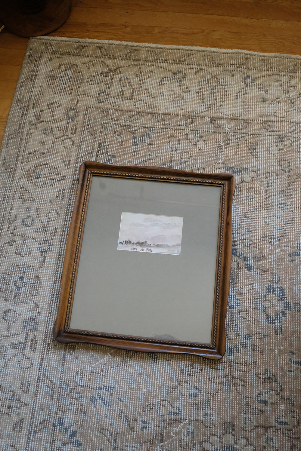 "wild horses"