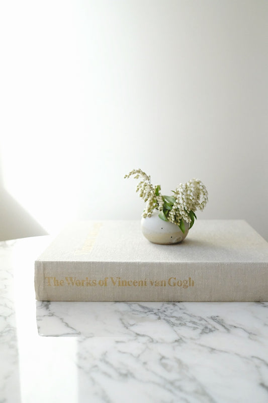 Van Gogh book