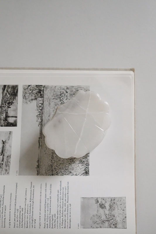 onyx shell box