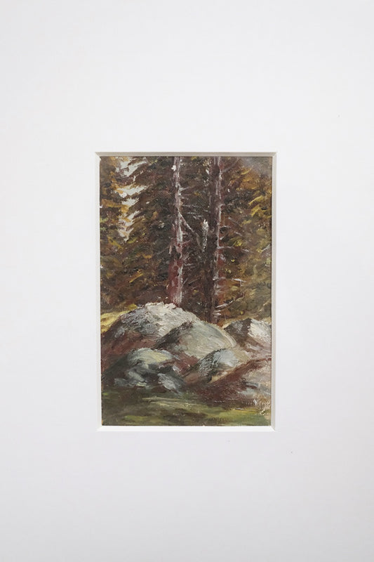 "attraverso la foresta"