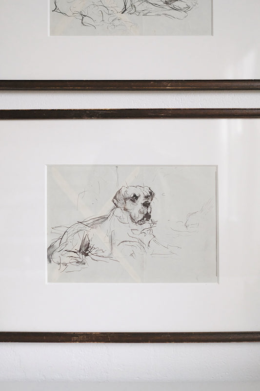 "le chien" I