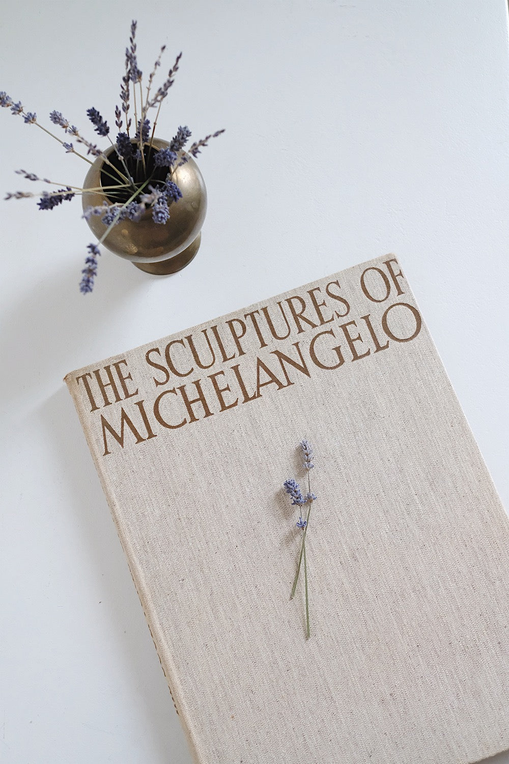 "the sculptures of Michaelangelo" book