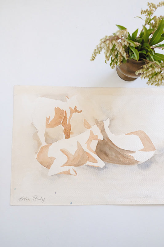 "bovine study"
