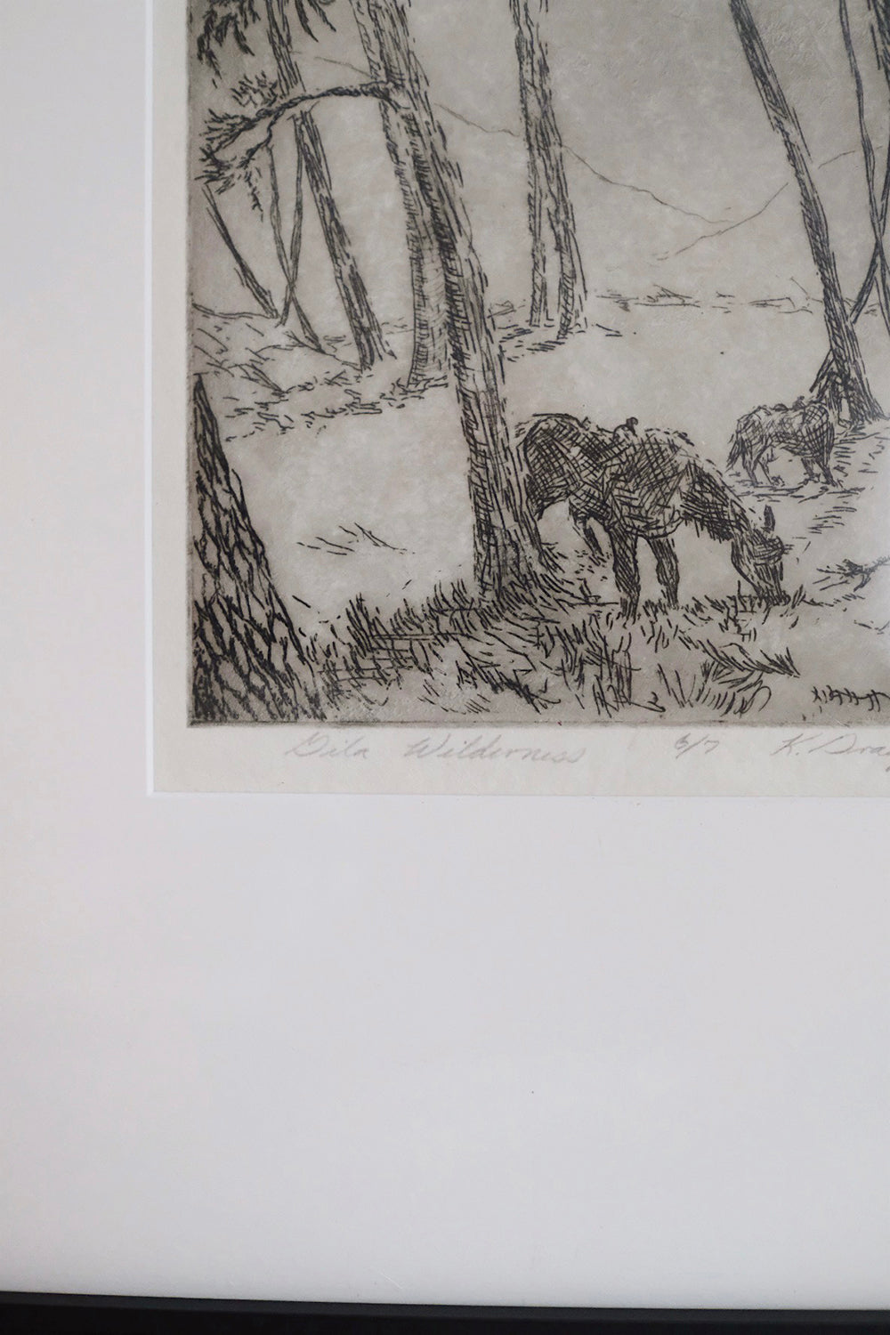 "gila wilderness" framed original etching