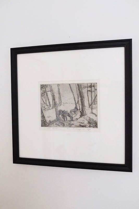 "gila wilderness" framed original etching